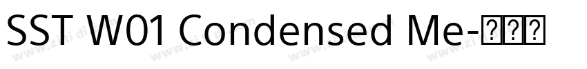 SST W01 Condensed Me字体转换